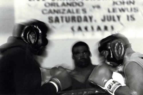 boxer14 image