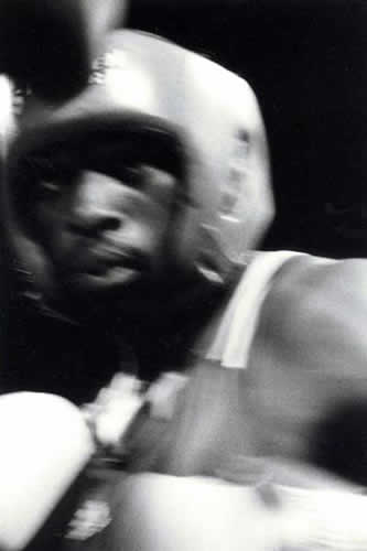 boxer27 image