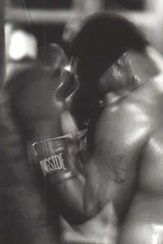 boxing1 image