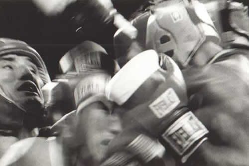 boxer23 image