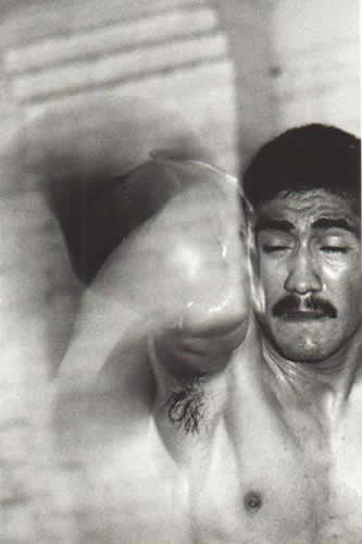 boxer7 image