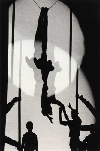 shadow 48