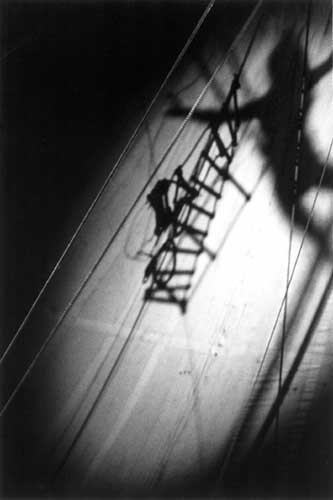 shadow 51