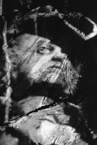 portait series 3 image
