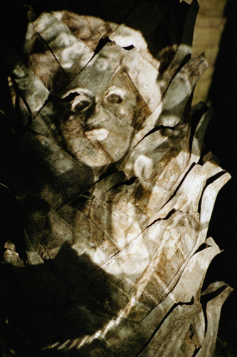 portait series 6 image