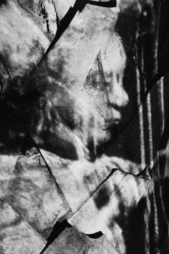 portait series 7 image