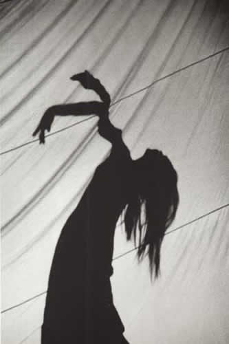 shadow14 image