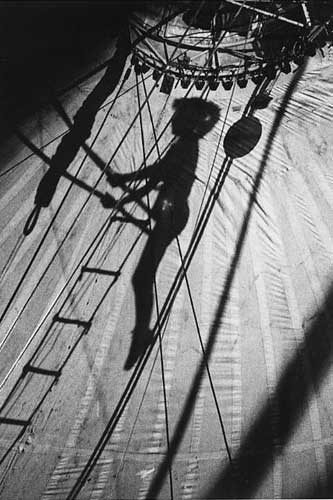 shadow47 image